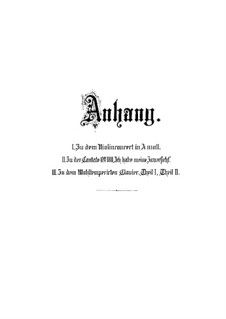 Appendix No.1 to Violin Concerto in A Minor (Violin Part), BWV 1041