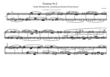 Tristesse No.2 for piano, MVWV 501: Tristesse No.2 for piano by Maurice Verheul