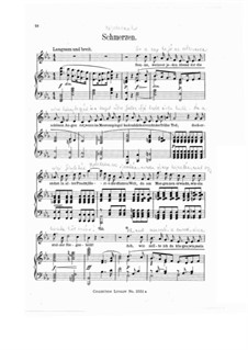 Sorrows, WWV 91 No.4
