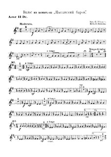 Waltz from The Gipsy Baron