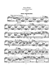 Bunte Blätter (Colored Leaves), Op.99
