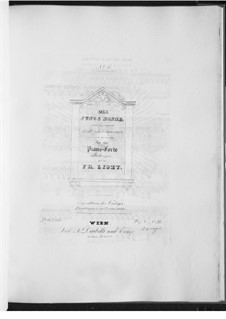 Die junge Nonne (Arrangement for Piano), S.558 No.6