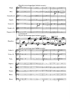 Fantasia for Piano, Choir and Orchestra in C Minor. Allegretto, ma non troppo, Op.80