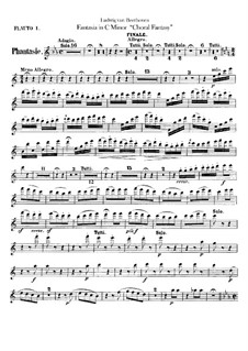 Fantasia for Piano, Choir and Orchestra in C Minor (Flutes), Op.80