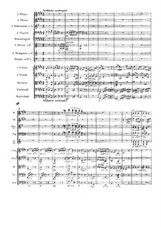 Symphony No.1 in C Minor. Part II, Op.68