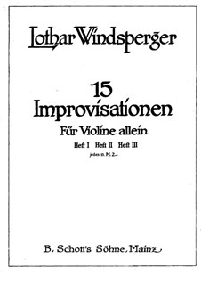 Fifteen Improvisations for Violin Solo: Fifteen Improvisations for Violin Solo by Lothar Windsperger