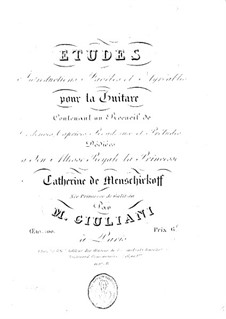 Twenty Four Etudes for guitar, Op.100