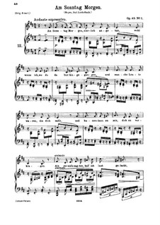 On Sunday Morning (B Minor), Op.49 No.1