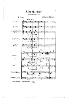 Salut d'amour (Love's Greeting), for Chamber Orchestra, Op.12
