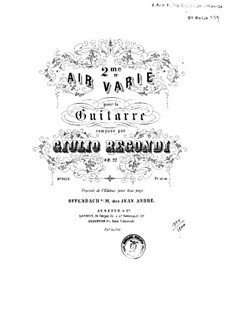 Air Variations No.2, Op.22