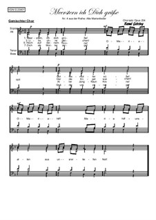 Alte Marienlieder Nr.4, Meerstern ich Dich grüße, Op.234: Alte Marienlieder Nr.4, Meerstern ich Dich grüße by folklore