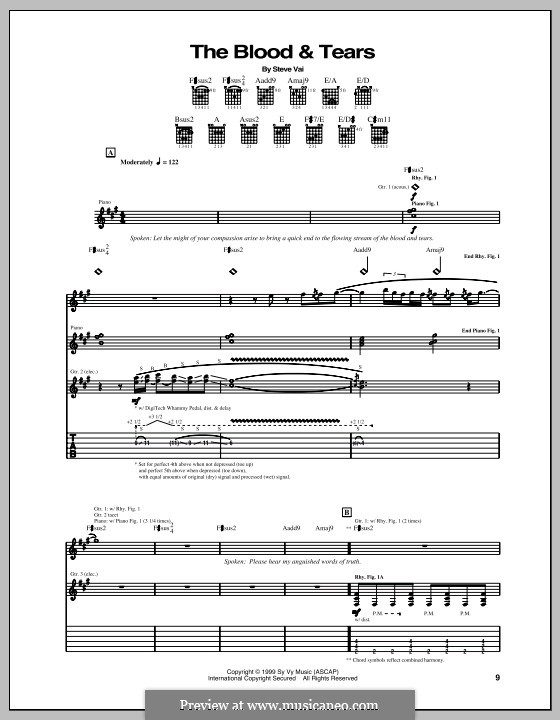 The Blood and Tears: Für Gitarre mit Tabulatur by Steve Vai