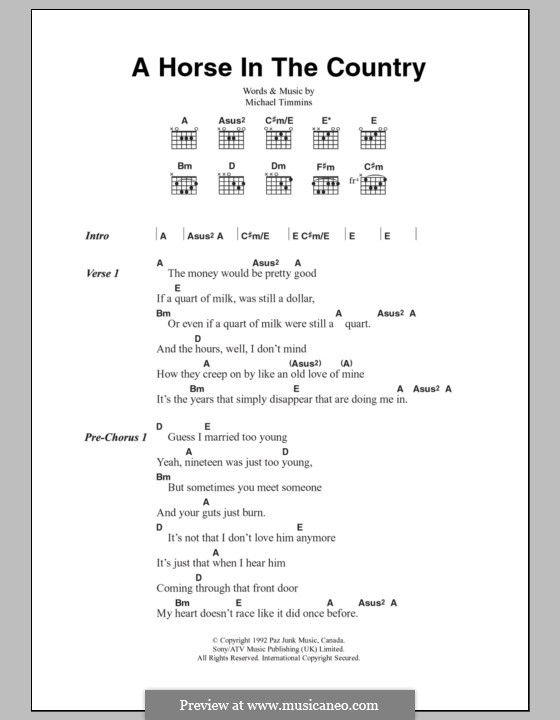 A Horse in the Country: Texte und Akkorde by Michael Timmins