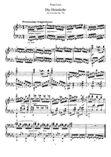 Die Heimkehr (Bearbeitung für Klavier), S.480