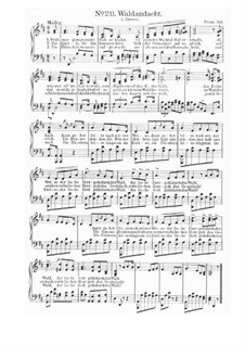Waldandacht für Stimme und Klavier