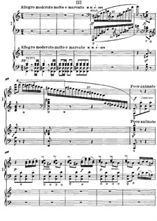 Klavierkonzert in a-moll. Teil III (Bearbeitung für zwei Klaviere von B. Tapper), Op.16