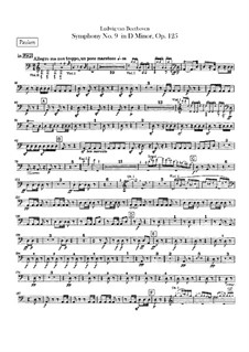 Sinfonie No.9 in d-moll (Schlagzeugstimmen), Op.125