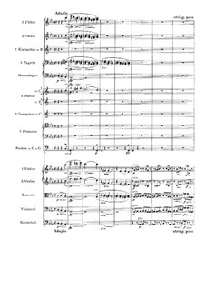 Sinfonie No.1 in c-moll. Teil IV, Op.68
