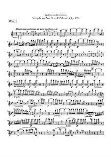 Sinfonie No.9 in d-moll (Flötestimmen), Op.125