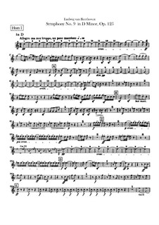 Sinfonie No.9 in d-moll (Waldhornstimmen I, II), Op.125