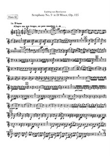 Sinfonie No.9 in d-moll (Waldhornstimmen III, IV), Op.125