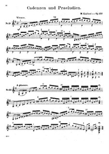 Etüden Nos.19-20, Op.100