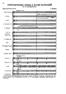 Symphonische Etüden (Bearbeitung für Orchester, Op.13 No.11, 12