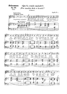 Wer machte dich so krank?, Op.35 No.11