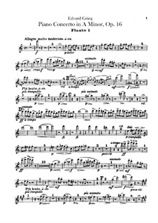Klavierkonzert in a-Moll – Flötenstimmen, Op.16