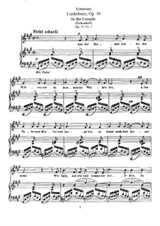 Liederkreis für Voice und Klavier, Op.39