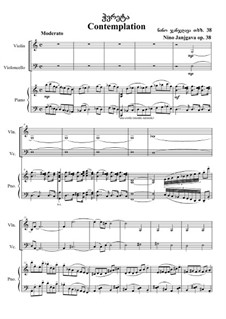 Contemplation, Op.38: Contemplation by Nino Janjgava