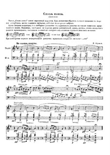Kinderscenen. Der Dichter spricht, für Horn und Klavier, Op.15 No.13