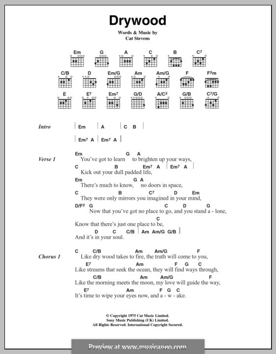 Drywood: Lyrics and chords by Cat Stevens