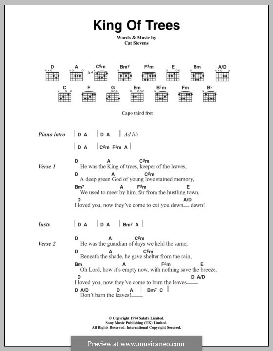 King of Trees: Lyrics and chords by Cat Stevens