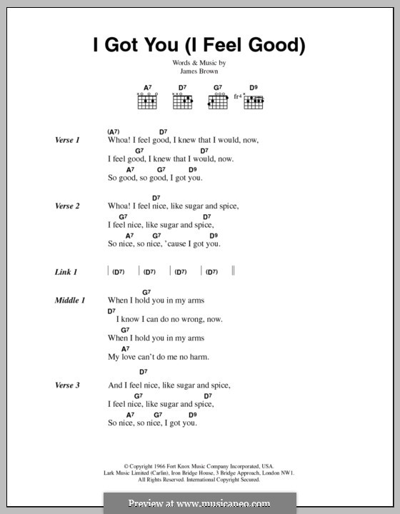 I Got You (I Feel Good) by J. Brown sheet music on MusicaNeo