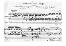 Fantasia and Fugue, Op.135b: Fantasia and Fugue by Max Reger