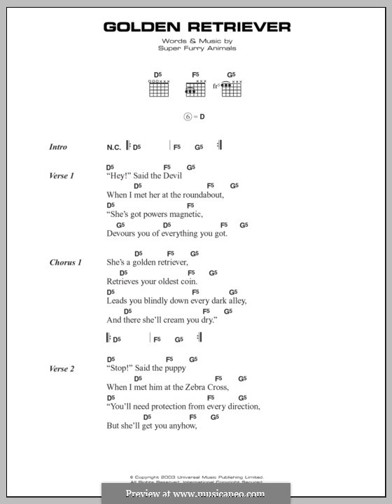 Golden Retriever (Super Furry Animals): Lyrics and chords by Cian Ciaran, Dafydd Ieuan, Gruff Rhys, Guto Pryce, Huw Bunford