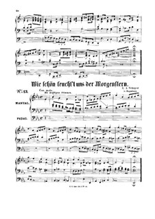 Choral Prelude 'Wie Schön Leucht't uns der Morgenstern': Choral Prelude 'Wie Schön Leucht't uns der Morgenstern' by Gustav Adolf Schaper