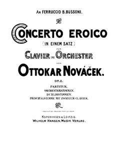 Concerto Eroico for Piano and Orchestra, Op.8: Version for two pianos four hands by Ottokar Nováček