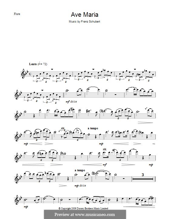 One instrument version: For flute by Franz Schubert
