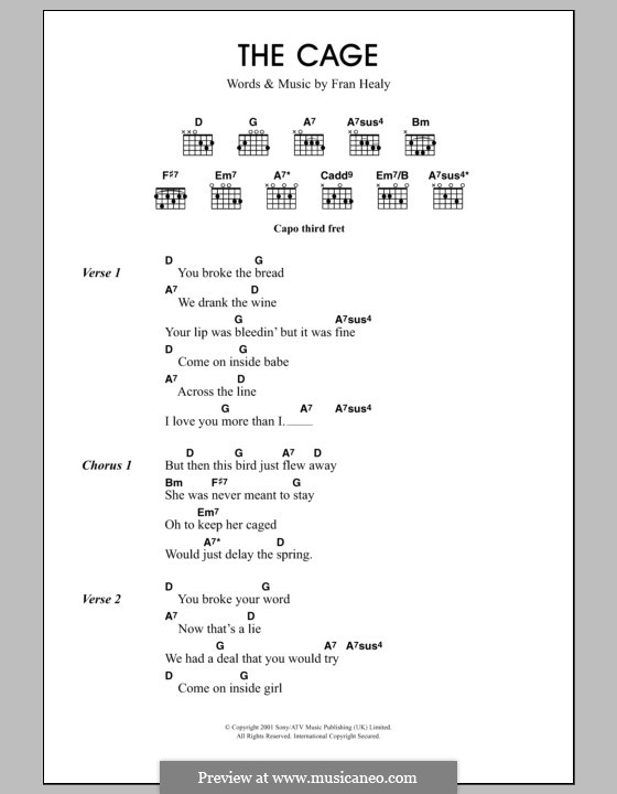 The Cage (Travis): Lyrics and chords by Fran Healy