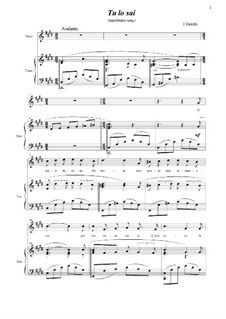 Tu lo sai: C sharp minor by F. Ferrafo