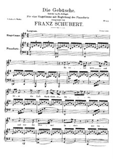 Die Gebüsche (The Bushes), D.646: G Major by Franz Schubert