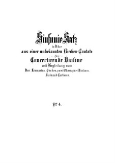 Concerto for Violin, Strings and Basso Continuo in D Major, BWV 1045: Full score by Johann Sebastian Bach