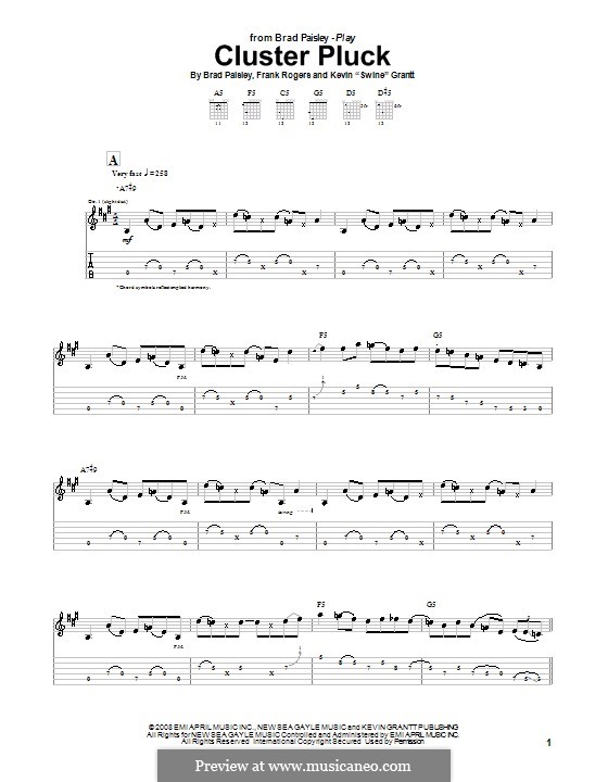 Cluster Pluck: For guitar with tab by Frank Rogers, Kevin 'Swine' Grant