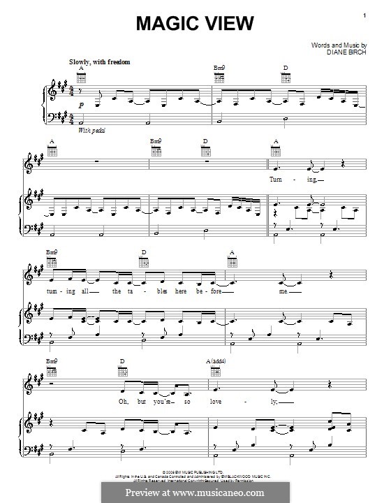 Magic View: For voice and piano (or guitar) by Diane Birch