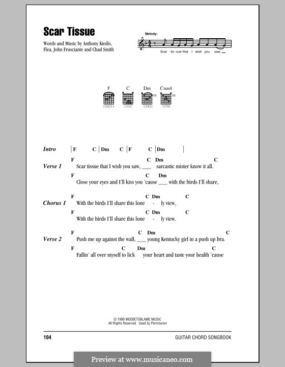 Scar Tissue (Red Hot Chili Peppers): Lyrics and chords with chord boxes by Flea, Anthony Kiedis, Chad Smith, John Frusciante
