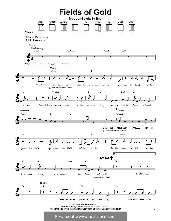 Fields of Gold: For guitar (very easy version) by Sting