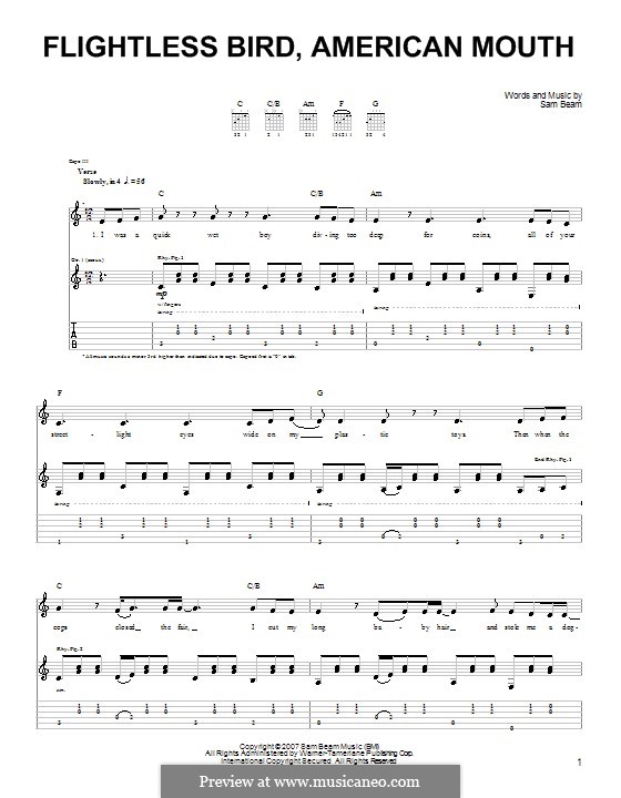Flightless Bird American Mouth Iron Wine By S Beam On Musicaneo