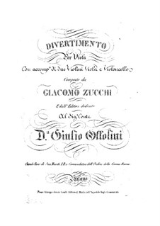 Divertissement for Viola and Strings: Divertissement for Viola and Strings by Giacomo Zucchi